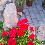Apartamento Li *