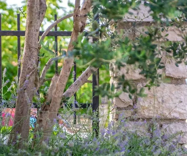 Li 아파트 Tar-Vabriga