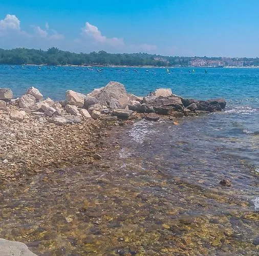 Li 아파트 Tar-Vabriga