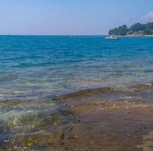 Li Lejlighed Tar-Vabriga